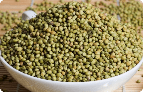 Coriander Seeds